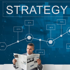 IT Strategy Consulting